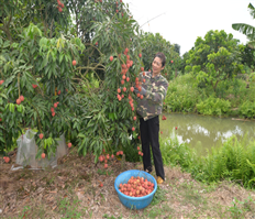 Xúc tiến thương mại, mở rộng thị trường tiêu thụ vải