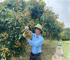 Xã Nhật Tân phát triển kinh tế trang trại, gia trại