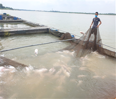 Driving force for economic development in coastal areas