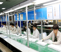 Efforts to collect state budget revenue from export and import activities