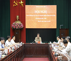 Meeting of the Steering Committee of key provincial projects