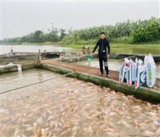 Sustainable development of cage fish farming in rivers