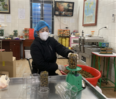 OCOP product development