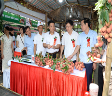 Litchi Fair 2024 opens