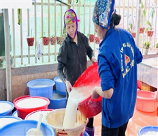 Cool and healthy cassava starch of Hung Yen province