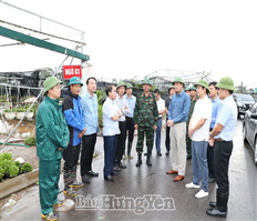 Bí thư Tỉnh ủy Nguyễn Hữu Nghĩa kiểm tra, chỉ đạo công tác khắc phục hậu quả do bão số 3 gây ra