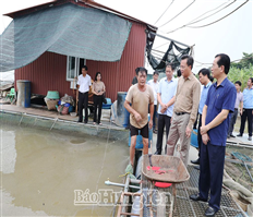 Bí thư Tỉnh ủy Nguyễn Hữu Nghĩa kiểm tra công tác ứng phó với bão số 3