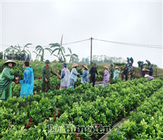 Căng mình khắc phục thiệt hại do bão, lũ, ngập úng