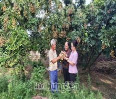 “Nhãn VietGAP”- Dễ tiêu thụ, hiệu quả kinh tế cao