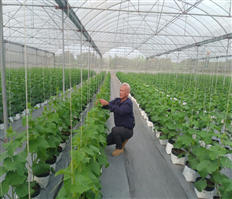 Bài 2: Xây dựng những miền quê đáng sống