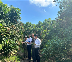 Đa dạng kênh tiêu thụ nhãn