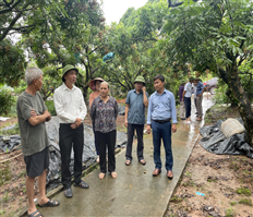 Phó Chủ tịch UBND tỉnh Nguyễn Hùng Nam kiểm tra công tác phòng, chống bão số 2