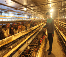 Dự án nhận diện sản phẩm: Thúc đẩy sản xuất, mở rộng kênh tiêu thụ nông sản