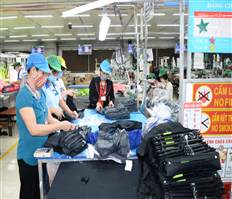 Tín hiệu tích cực từ ngành dệt may