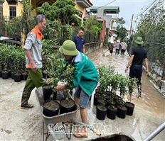 Huyện Văn Giang khẩn trương ứng phó với nước sông Hồng dâng cao vượt báo động 3