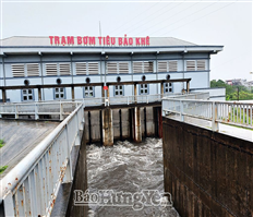 Toàn tỉnh vận hành 118 trạm bơm tiêu úng