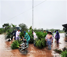 Các huyện, thị xã dồn sức ứng phó với mưa, lũ
