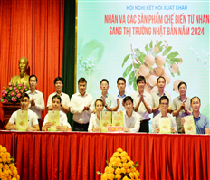 Conference to connect the export of longan and products processed from longan to the Japanese market in 2024