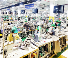 Ensuring sustainability in state budget revenue