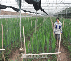 Support farmers in digital transformation