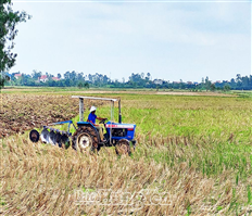 Tập trung huy động nguồn lực để cày ải