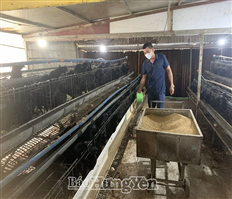 Thúc đẩy chăn nuôi an toàn sinh học