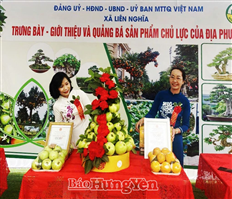 Hung Yen has 1 product that won the first Mai An Tiem award in 2024