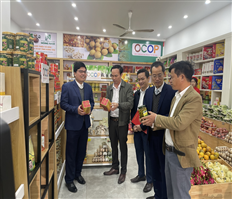 Opening point to introduce and sell OCOP products