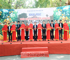 Opening of Hung Yen Orange Market in 2024