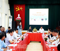 Toàn tỉnh có 8 làng nghề hoa, cây cảnh đã được công nhận