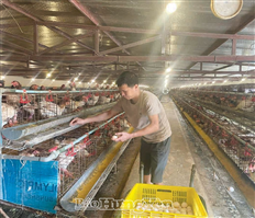 Dấu ấn kinh tế tập thể