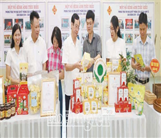 Khoái Châu vươn mình phát triểnx