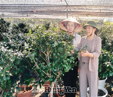 Khoa học và công nghệ nhân thêm những “mùa quả ngọt”