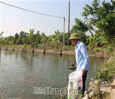 Những trang trại doanh thu tiền tỷ