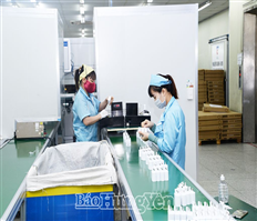 Khai thác tiềm năng phát triển ngành công nghiệp hỗ trợ