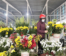 Nét đẹp văn hóa ngày Tết Thanh minh