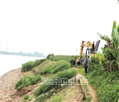 39,5 tỷ đồng đầu tư xử lý sạt lở hạ lưu tuyến kè Phú Mỹ
