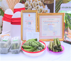 Van Giang District Has 29 OCOP Products