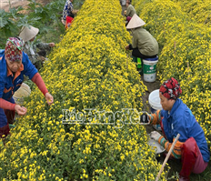 Xã Đại Đồng khơi dậy khát vọng đột phá và phát triển