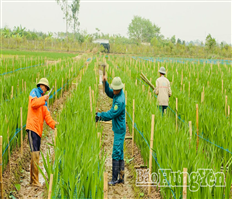 Xã Hồng Minh tự tin bước vào giai đoạn phát triển mới
