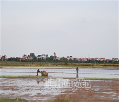Những việc làm ngay sau khi vận hành bộ máy chính quyền địa phương mới ở xã Nguyễn Trãi