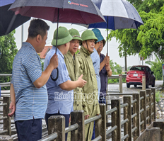 Các đồng chí lãnh đạo tỉnh đi kiểm tra, chỉ đạo công tác phòng, chống bão số 3