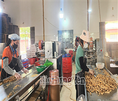 Khẳng định vị thế và thương hiệu sản phẩm OCOP 4 sao trên thị trường