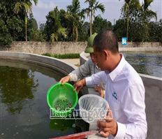 Hình thành chuỗi liên kết để phát triển hợp tác xã bền vững