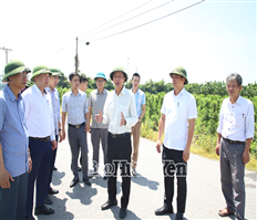 Phó Chủ tịch UBND tỉnh Nguyễn Hùng Nam kiểm tra tình hình triển khai Dự án khu phức hợp đô thị, du lịch sinh thái và sân golf Khoái Châu