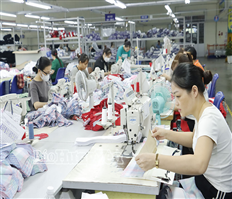 Bảo đảm nguồn thu ngân sách Nhà nước phục vụ phát triển kinh tế - xã hội