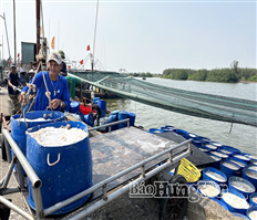 Thôn Quang Thịnh đi lên từ biển