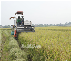 Bắc Đông Hưng: Nhiều giải pháp phát triển kinh tế, nâng cao thu nhập cho người dân