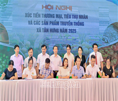 Xúc tiến thương mại tiêu thụ nhãn và các sản phẩm truyền thống xã Tân Hưng