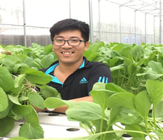 Hiệu quả bước đầu mô hình trồng rau sạch bằng phương pháp thủy canh